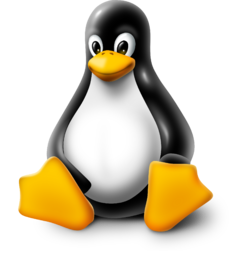 Denborapasa teknologiko produktibo euskaltzaleak itxialdirako (eta 7): Ausartu Linuxekin! 1